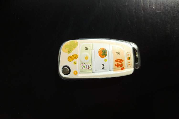 Used Chery QQ Ice Cream 2024 Edition Youth Version 205km Sundae Vehicle Key