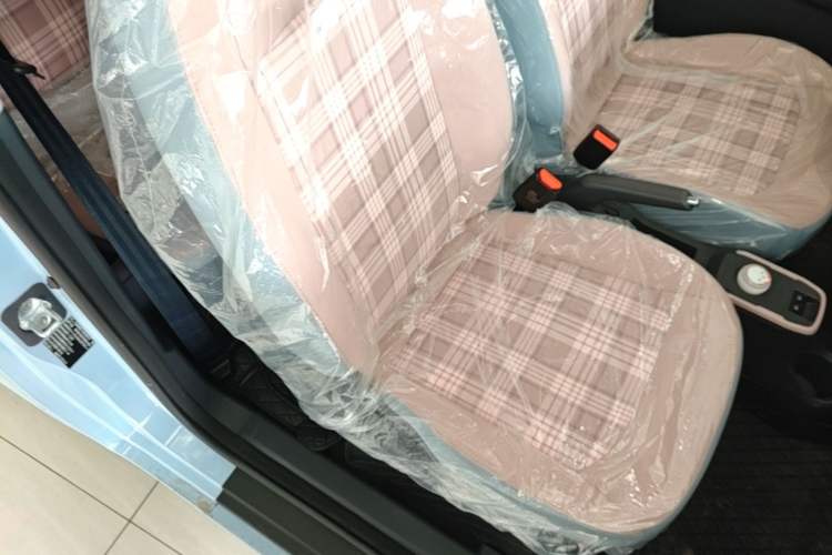 Used Chery QQ Ice Cream 2025 205km Qi Energy Version Right Front Seat