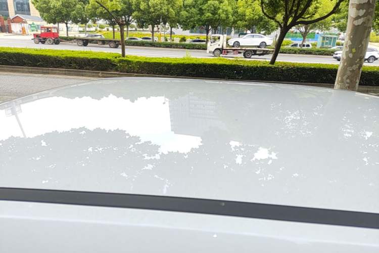 Used Chery QQ Ice Cream 2025 205km Qi Energy Version Roof