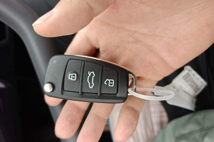 Used Chery QQ Ice Cream 2025 205km Qi Energy Version Vehicle Key