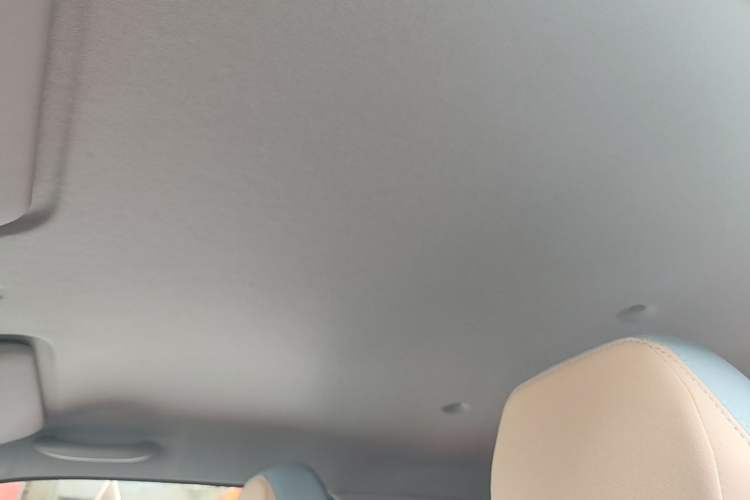 Used Chery QQ Ice Cream 2025 205km Qi Energy Version Headliner