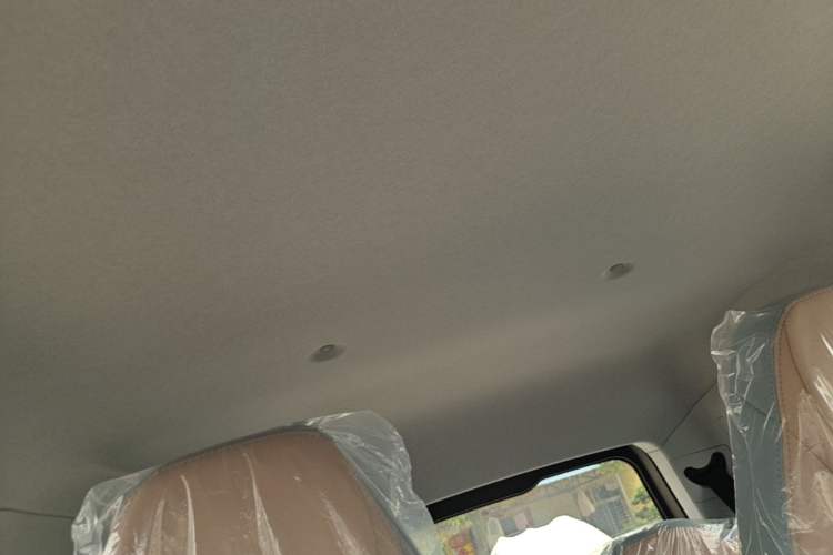 Used Chery QQ Ice Cream 2025 205km Qi Energy Version Headliner