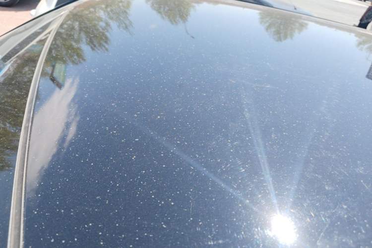 Used Chery QQ Ice Cream 2025 205km Qi Energy Version Roof