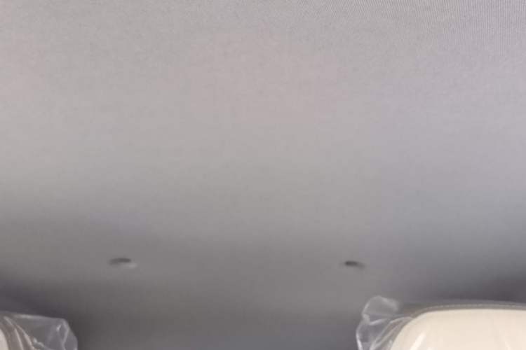 Used Chery QQ Ice Cream 2025 205km Qi Energy Version Headliner