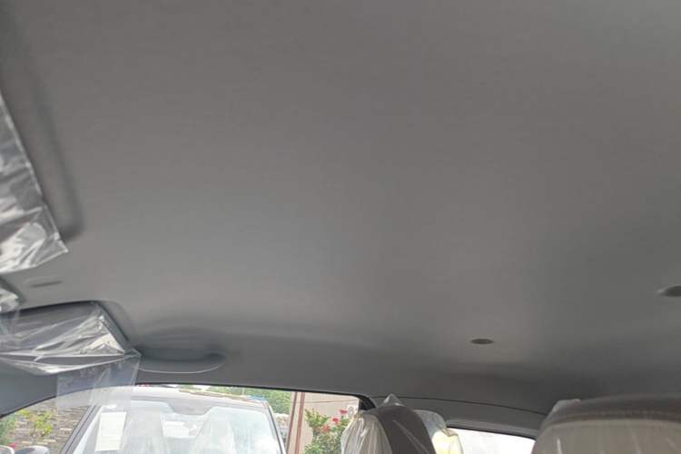 Used Chery QQ Ice Cream 2025 205km Qi Energy Version Headliner