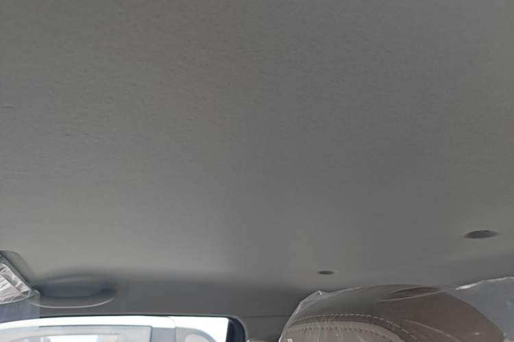 Used Chery QQ Ice Cream 2025 205km Qi Energy Version Headliner