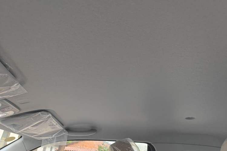 Used Chery QQ Ice Cream 2025 205km Qi Energy Version Headliner