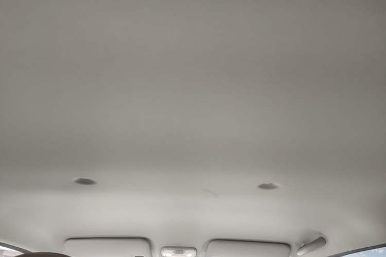 Used Chery QQ Ice Cream 2025 205km Qi Energy Version Headliner