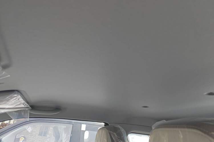Used Chery QQ Ice Cream 2025 205km Qi Energy Version Headliner