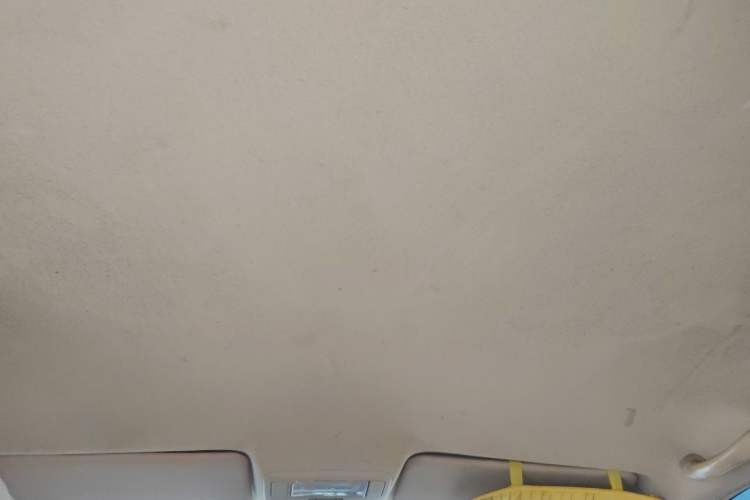 Used Chery Tiggo 2010 Elite Edition 1.6S Manual Comfort Model Headliner