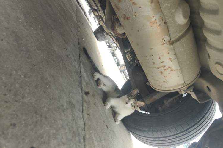 Used Chery Tiggo 3 2016 1.6L CVT ZhiShang Edition Chassis Rear