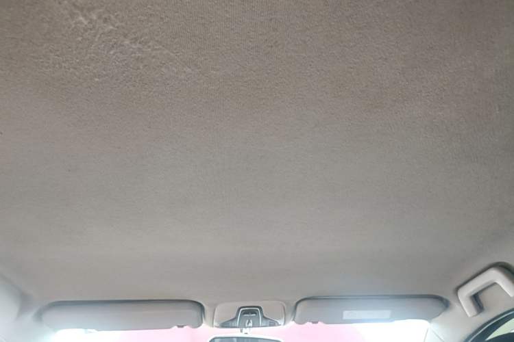 Used Chery Tiggo 3X 2018 1.5L Automatic Elite Edition Headliner