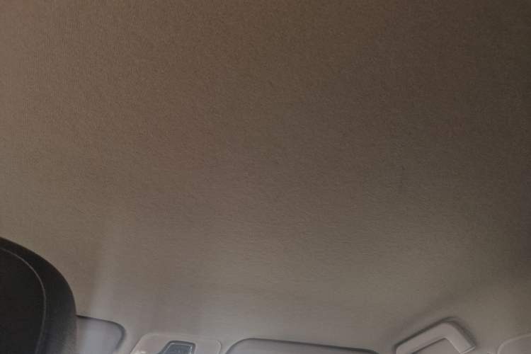 Used Chery Tiggo 3X 2018 1.5L Automatic Elite Edition Headliner