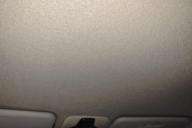 Used Chery Tiggo 3X 2018 1.5L Manual Elite Edition Headliner