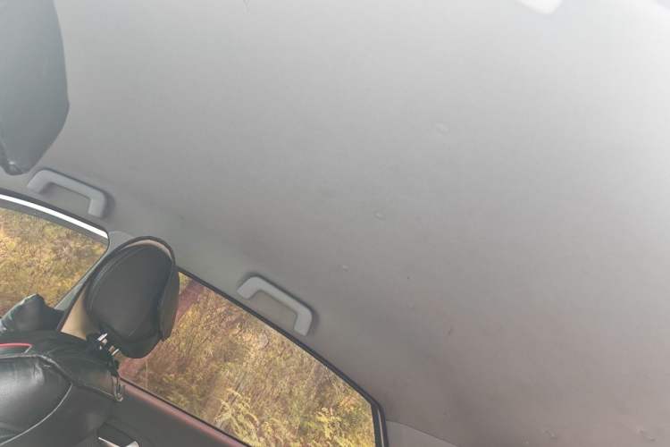 Used Chery Tiggo 3X 2018 1.5L Automatic Elite Edition Headliner