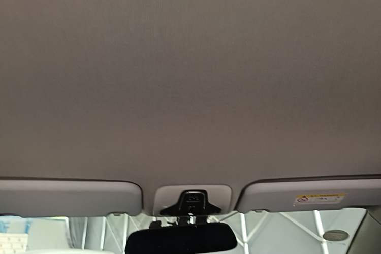 Used Chery Tiggo 3X 2018 1.5L Automatic Elite Edition Headliner