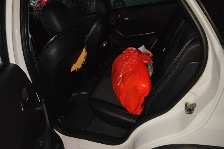 Used Chery Tiggo 3X 2018 1.5L Automatic Luxury Edition Left Rear Seat