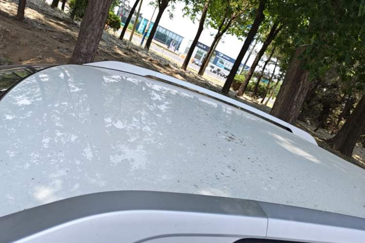 Used Chery Tiggo 3X 2018 1.5L Manual Comfort Edition Roof