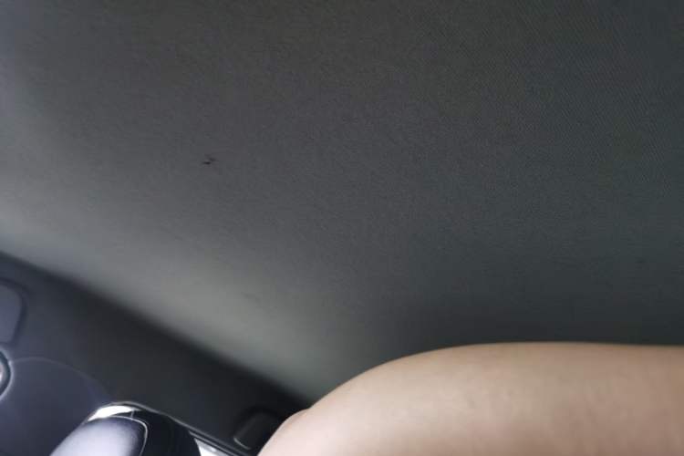 Used Chery Tiggo 3X 2020 Quality Edition 1.5L CVT Luxury Version Headliner