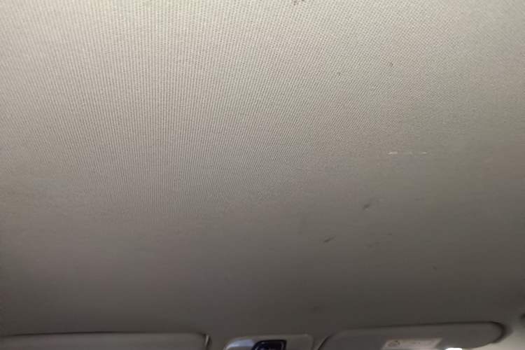Used Chery Tiggo 3X 2020 Quality Edition 1.5L CVT Luxury Version Headliner