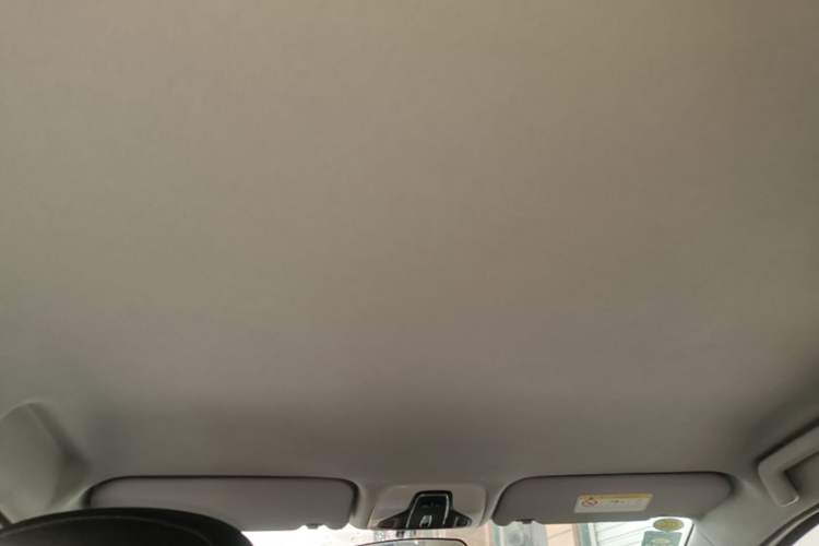 Used Chery Tiggo 3X 2020 Quality Edition 1.5L CVT Luxury Version Headliner