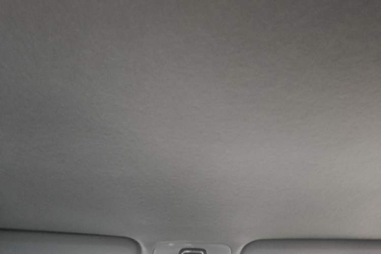 Used Chery Tiggo 3X 2020 Quality Edition 1.5L CVT Luxury Version Headliner