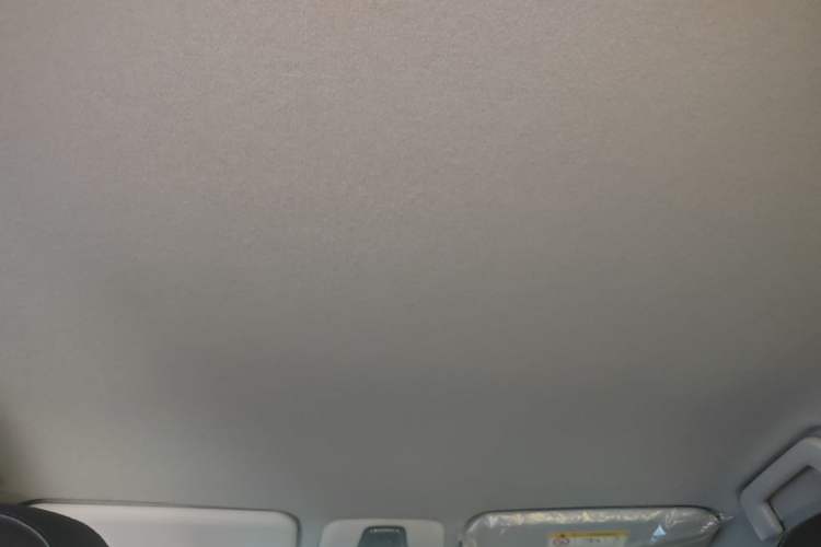 Used Chery Tiggo 3X 2020 Quality Edition 1.5L CVT Luxury Version Headliner