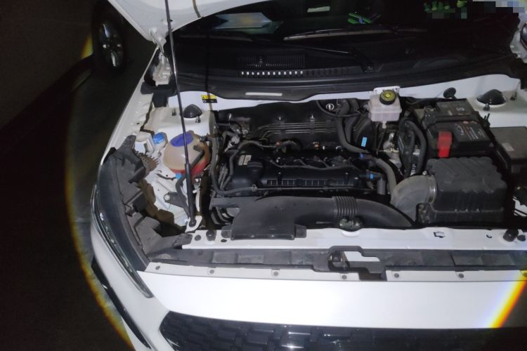 Used Chery Tiggo 3X 2021 PLUS 1.5L CVT "Painkai Red Date" Edition II Engine Bay Right