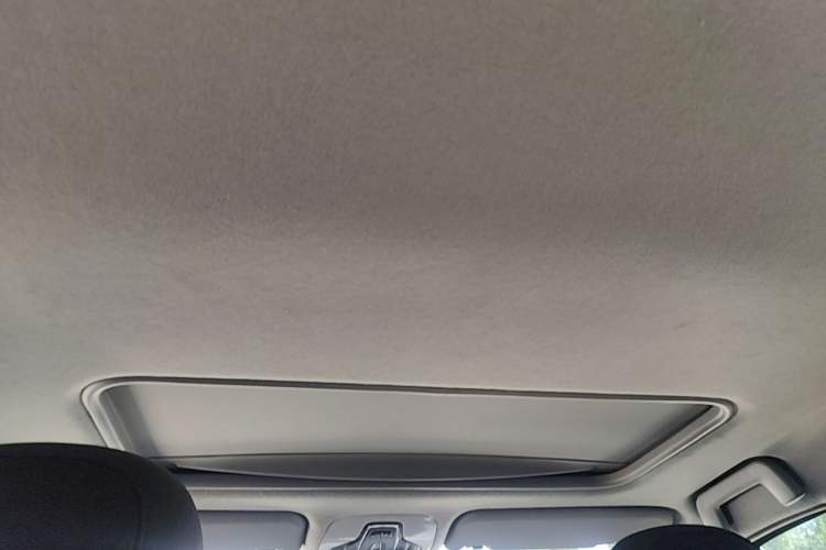 Used Chery Tiggo 3X 2021 Facelift PLUS 1.5L CVT Zhenxing Pine Nut Edition Headliner