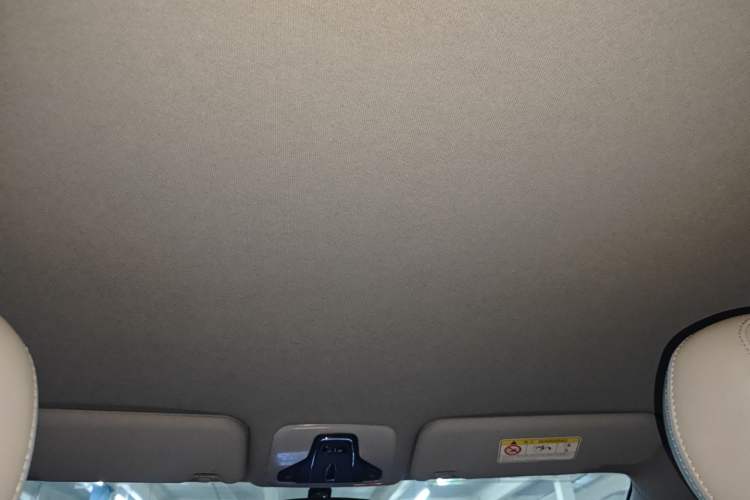 Used Chery Tiggo 3X 2022 PLUS 1.5L Manual Fashion Edition Headliner