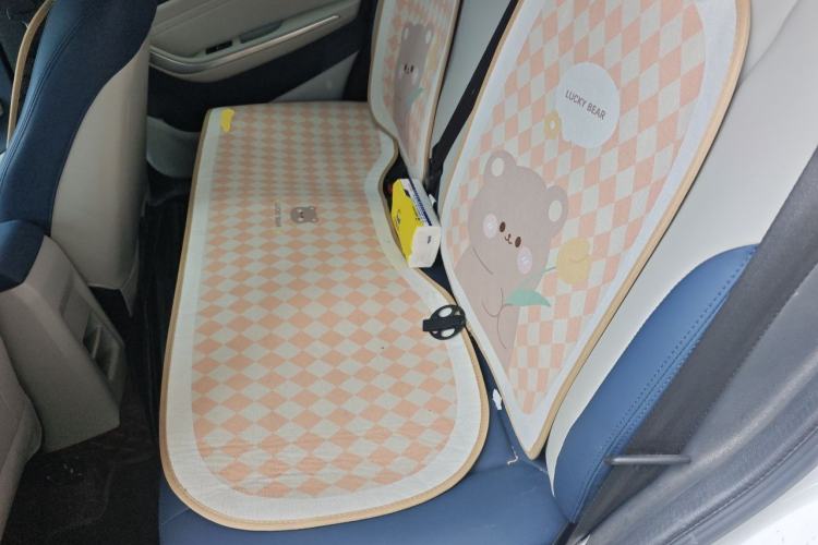 Used Chery Tiggo 3X 2023 1.5L CVT Fashion Edition Left Rear Seat