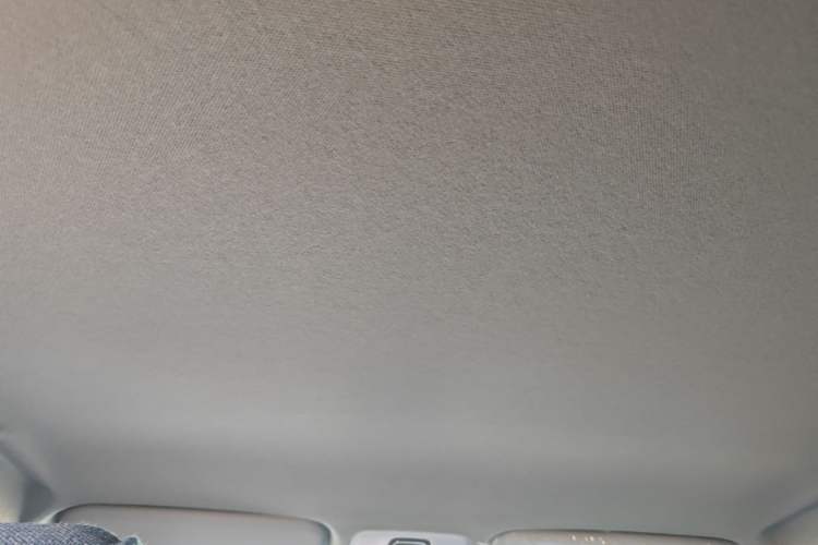 Used Chery Tiggo 3X 2024 1.5L CVT Excellence Edition Headliner