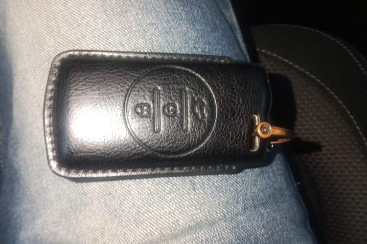 Used Chery Tiggo 3X 2024 1.5L CVT Excellence Edition Interior 1