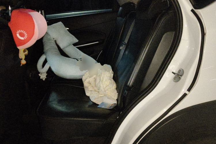 Used Chery Tiggo 3X 2024 1.5L CVT Excellence Edition Left Rear Seat