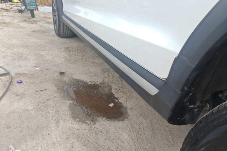 Used Chery Tiggo 3X 2024 1.5L CVT Excellence Edition Left Side Sill
