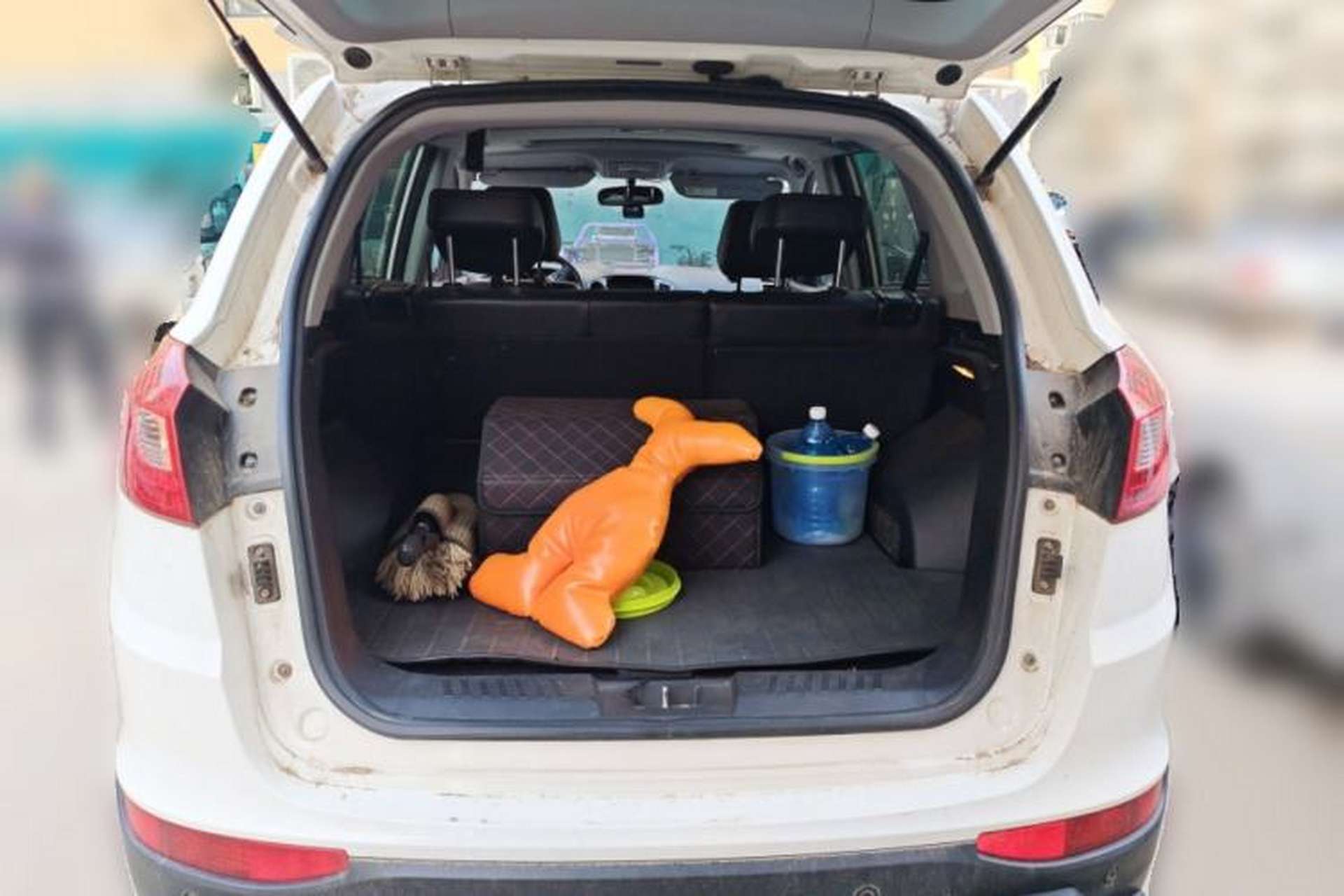 Used Chery Tiggo 5 2014 2.0L CVT Family Deluxe Edition Trunk