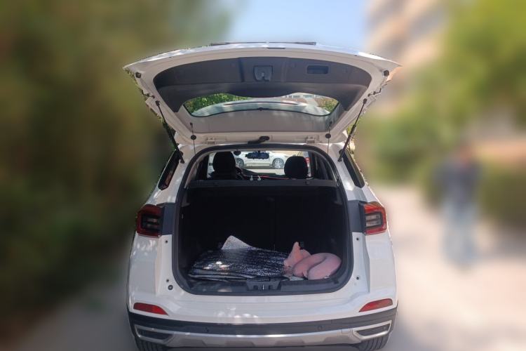 Used Chery Tiggo 5x 2019 HERO 1.5L Manual Fashion Edition Trunk