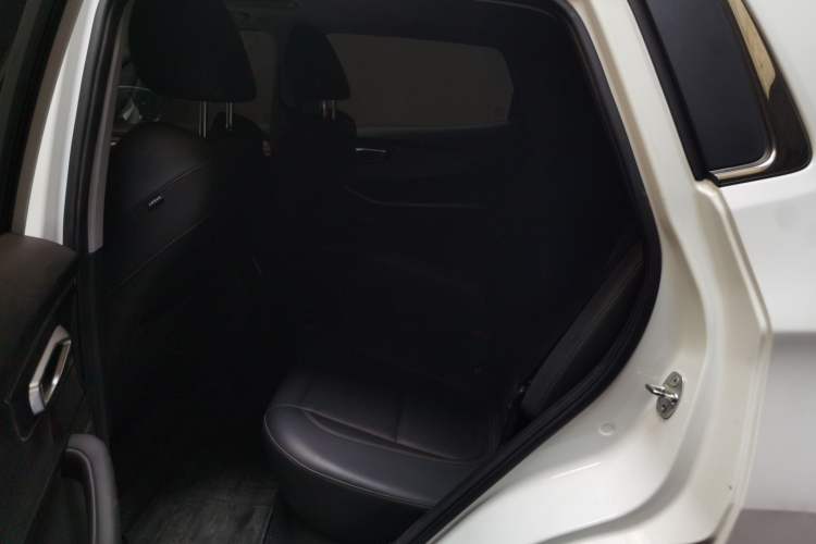 Used Chery Tiggo 5x 2020 1.5L CVT Luxury Edition Left Rear Seat