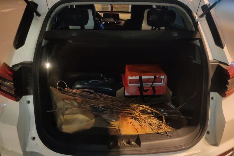 Used Chery Tiggo 5x 2020 1.5L Manual Fashion Edition Trunk