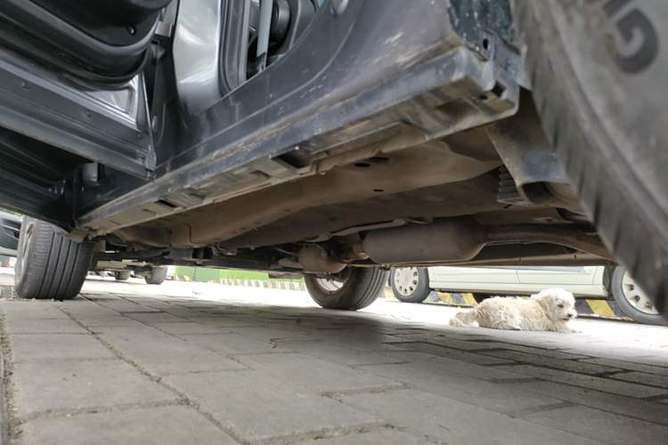 Used Chery Tiggo 5x 2023 1.5L CVT Fashion Edition Left Side Sill