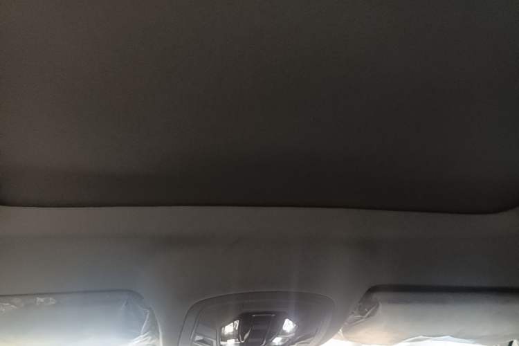 Used Chery Tiggo 7 2020 Discovery Edition 1.5T CVT Discovery No. 2 Headliner