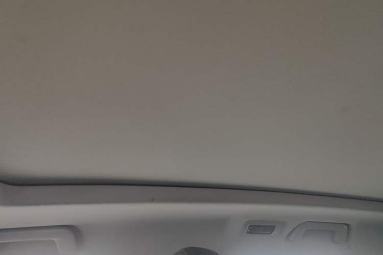 Used Chery Tiggo 7 2020 1.5T CVT Luxury Model Headliner