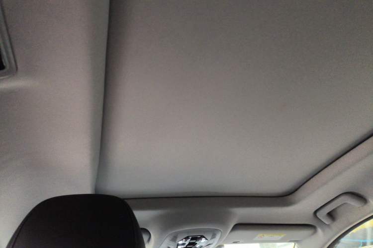 Used Chery Tiggo 7 2020 1.6T DCT JinPRO Headliner