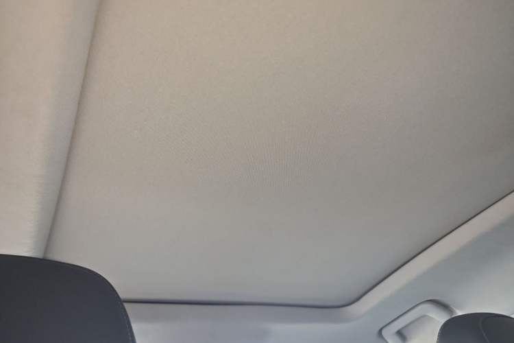 Used Chery Tiggo 7 2020 1.5T CVT Elite Model Headliner