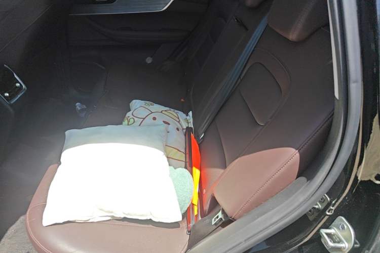 Used Chery Tiggo 7 2024 1.5T CVT Luxury Edition Left Rear Seat