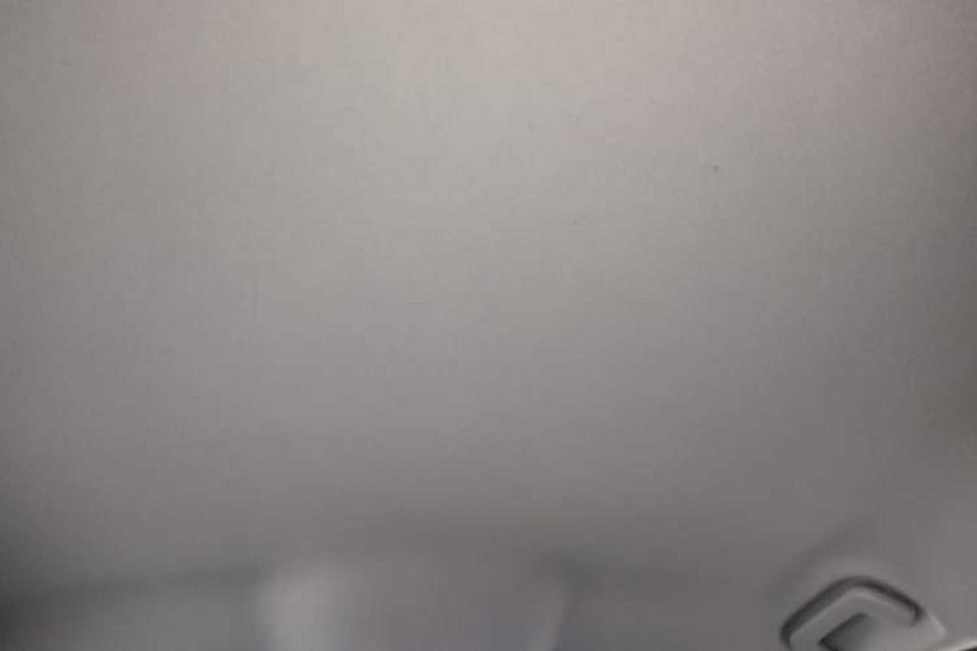 Used Chery Tiggo 7 2024 1.5T CVT Luxury Edition Headliner