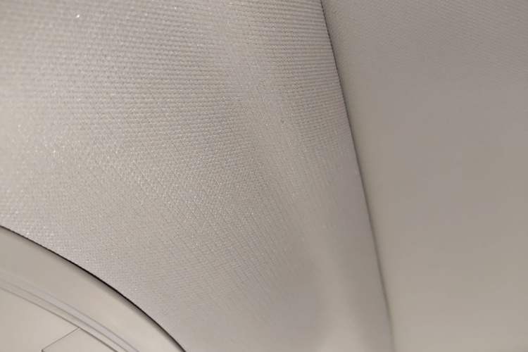 Used Chery Tiggo 7 2024 1.5T CVT Luxury Edition Headliner