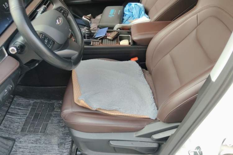 Used Chery Tiggo 7 2024 1.5T Manual Glory Edition Left Front Seat