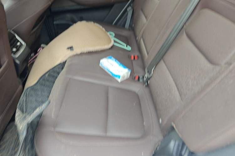 Used Chery Tiggo 7 2024 1.5T CVT Luxury Edition Left Rear Seat