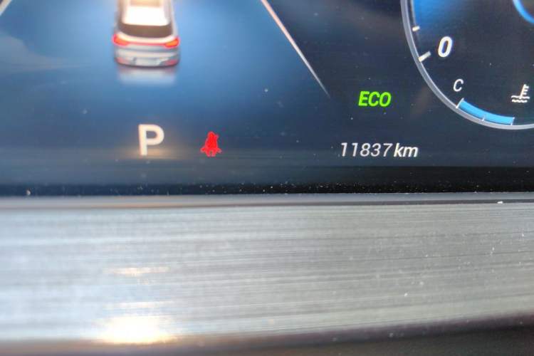 Used Chery Tiggo 7 2024 1.5T CVT Luxury Edition Odometer Close Up